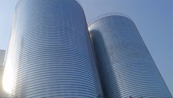 那坡2座混凝土高架卷板仓